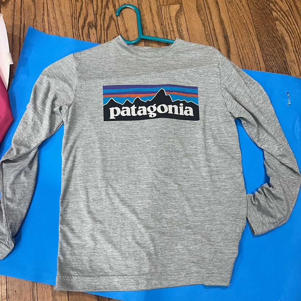 Patagonia Heather Gray Long Sleeve with Logo
